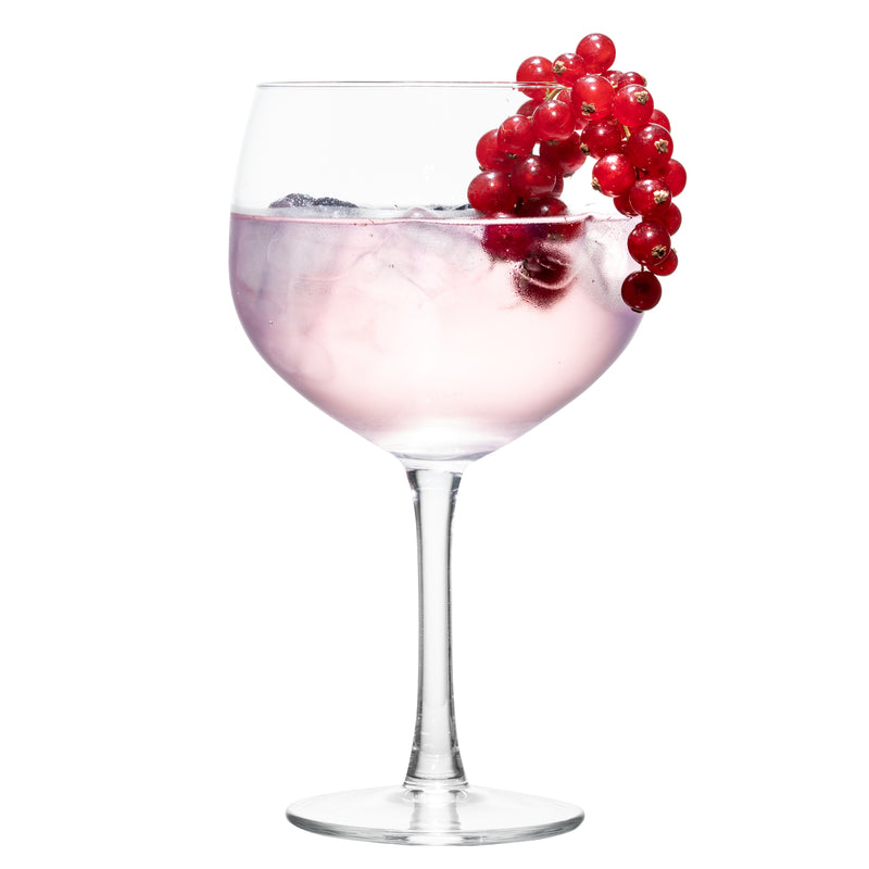 Royal Leerdam - 4 Copas para Ginebra 643 ml