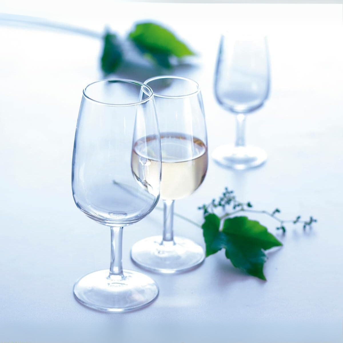 Juego De 6 Copas De Vidrio Para Vino, Licor,Tequila Mezcal