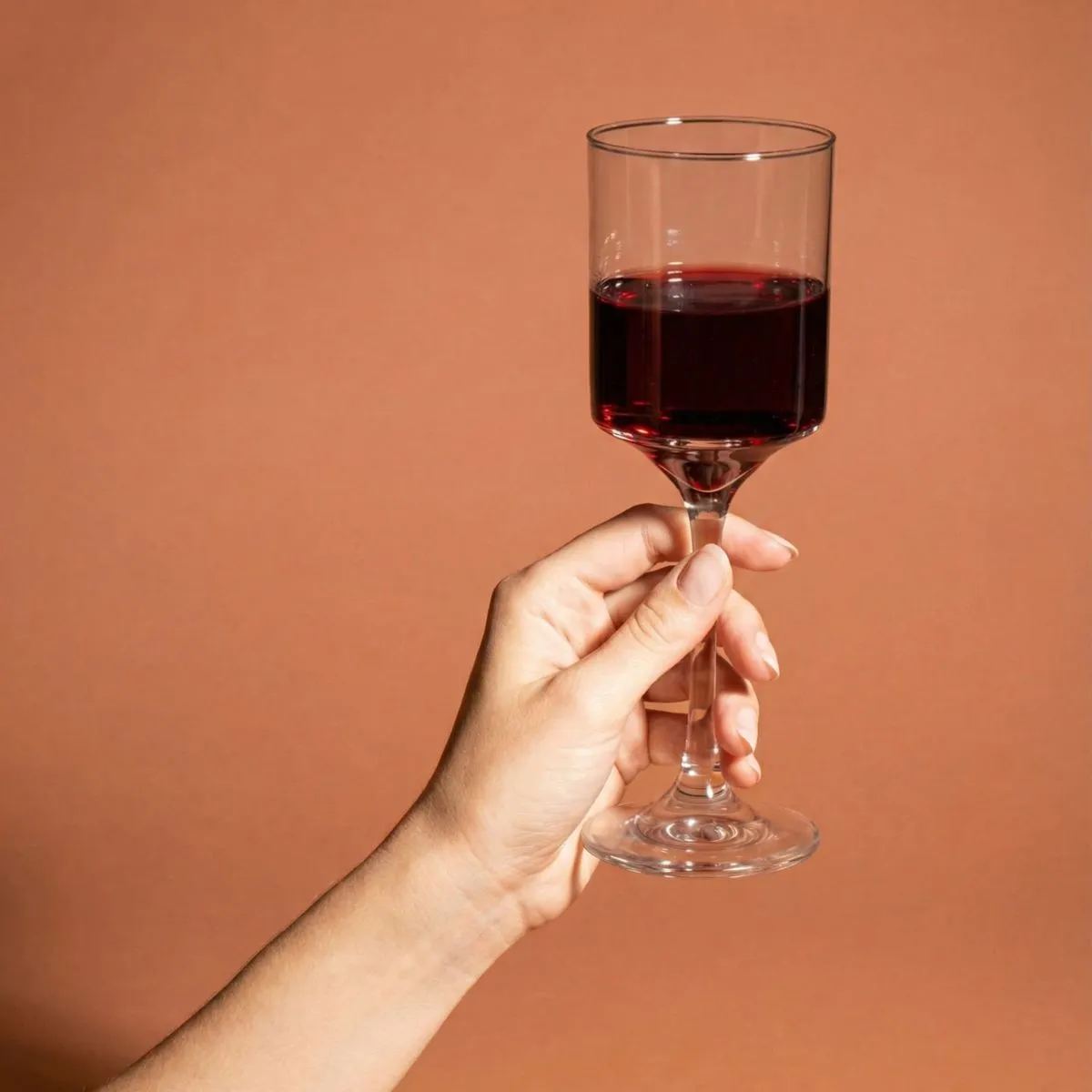 Rio - Juego de Copas de Vidrio para Vino – Diseño Clásico en Caja de Presentación