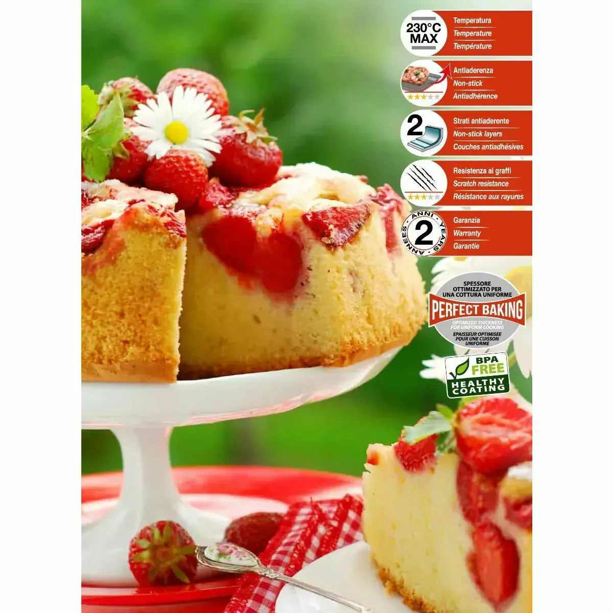 Rossana - Molde De Repostería Desmontable Con 2 Bases